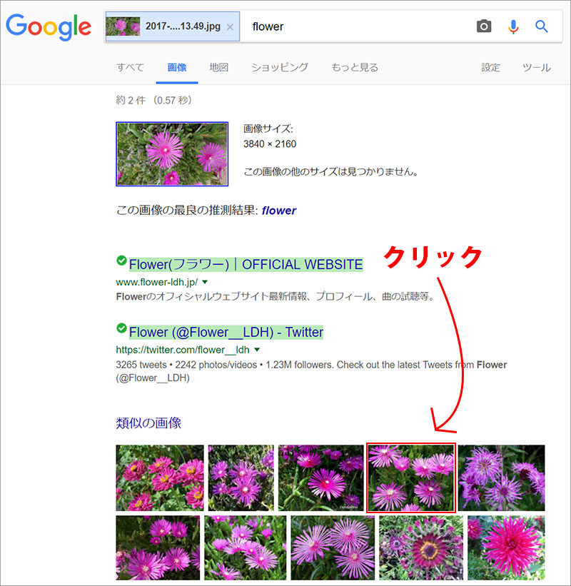 「花の名は。」簡単に花の名前を調べる方法 PCまなぶ 「花の名は。」簡単に花の名前を調べる方法 PCまなぶ