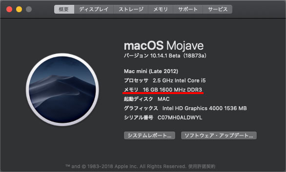Apple - Mac mini (Late 2014) SSD 256GBに自分で換装済みの+inforsante.fr